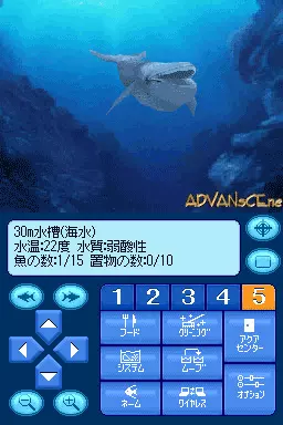 Image n° 3 - screenshots : Kokoro ga Uruou Birei Aquarium DS - Kujira - Iruka - Penguin